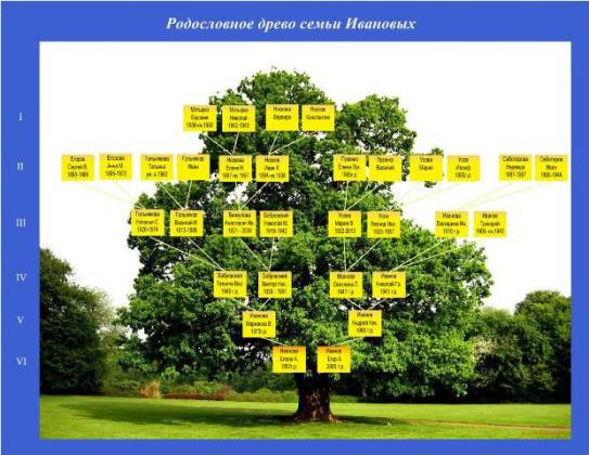 5 место 5 место